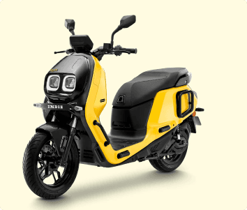 Spring Yellow